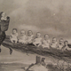 Illustration for article titled The Most Disturbing Images Of Krampus, Santa's Child-Eating Counterpart